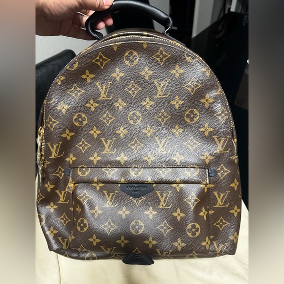 Louis Vuitton Palm Springs PM - Picture 1 of 5